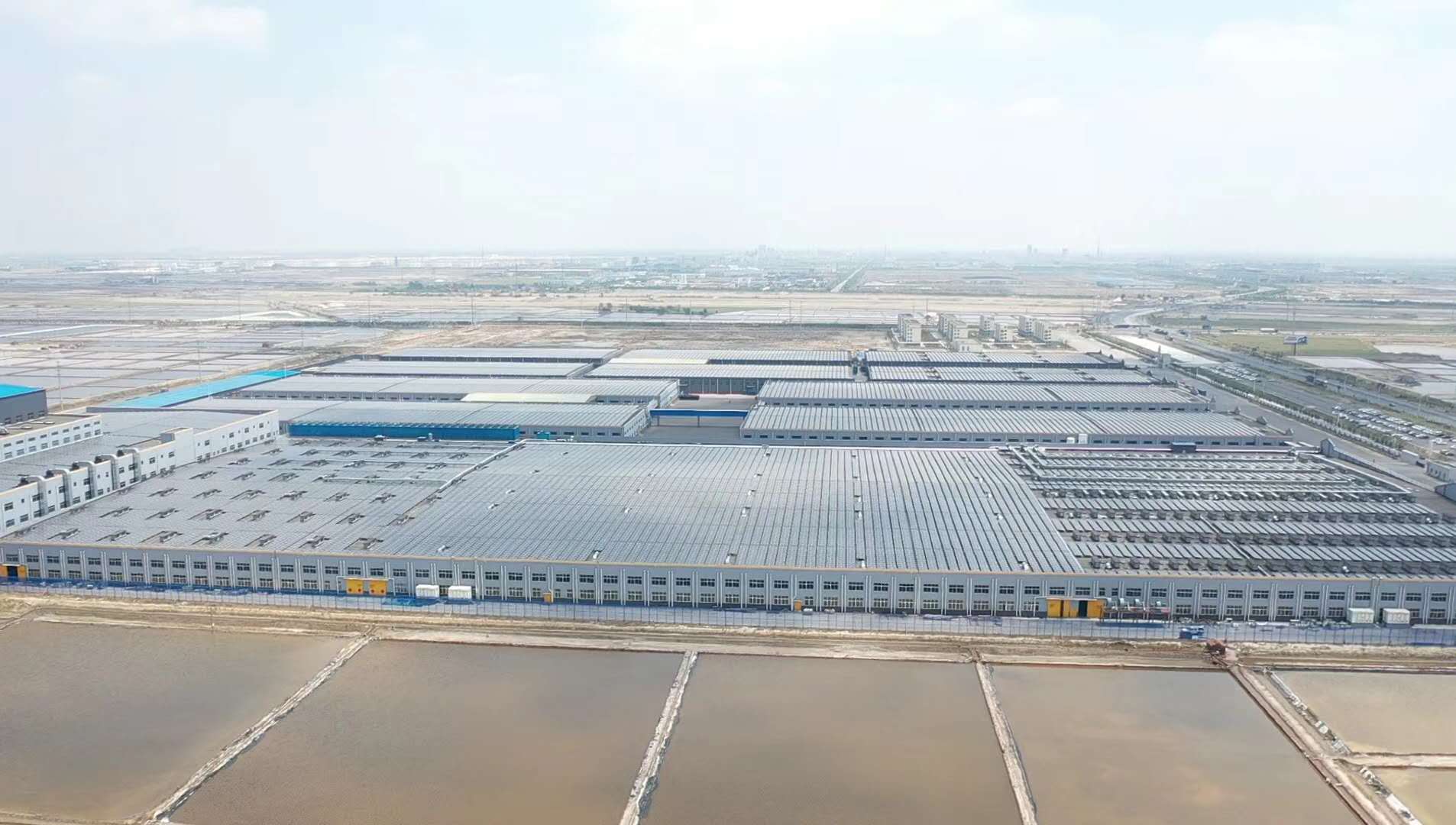 1593335621556328.jpg 6.jpg